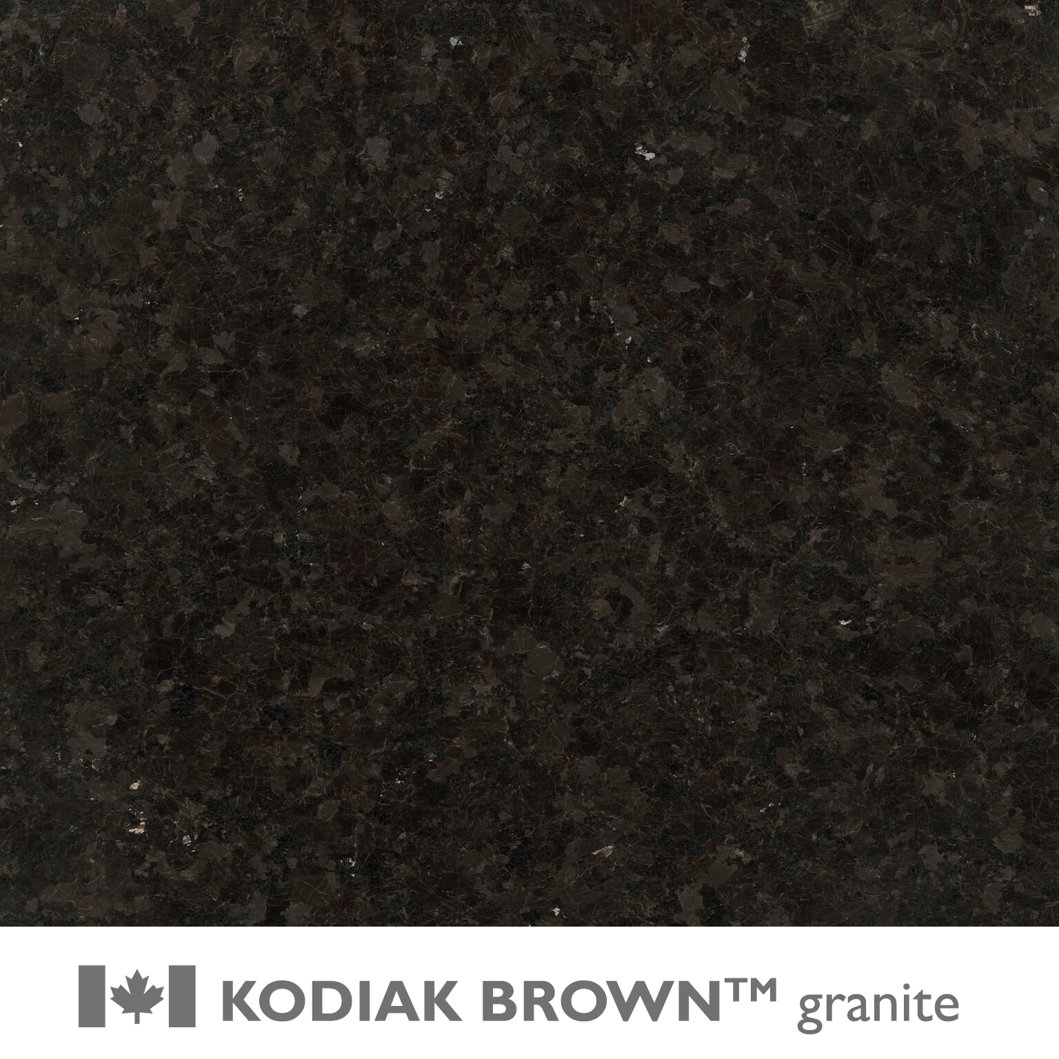 KODIAK BROWN™ granite
