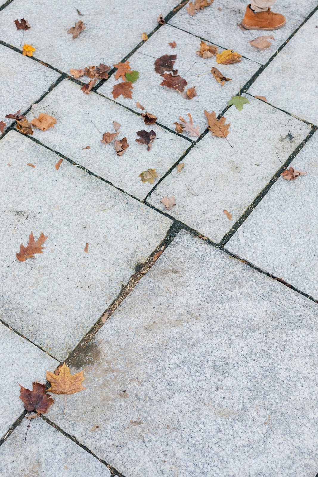 Eva Amurri Historic Connecticut Home Renovation Granite Patio